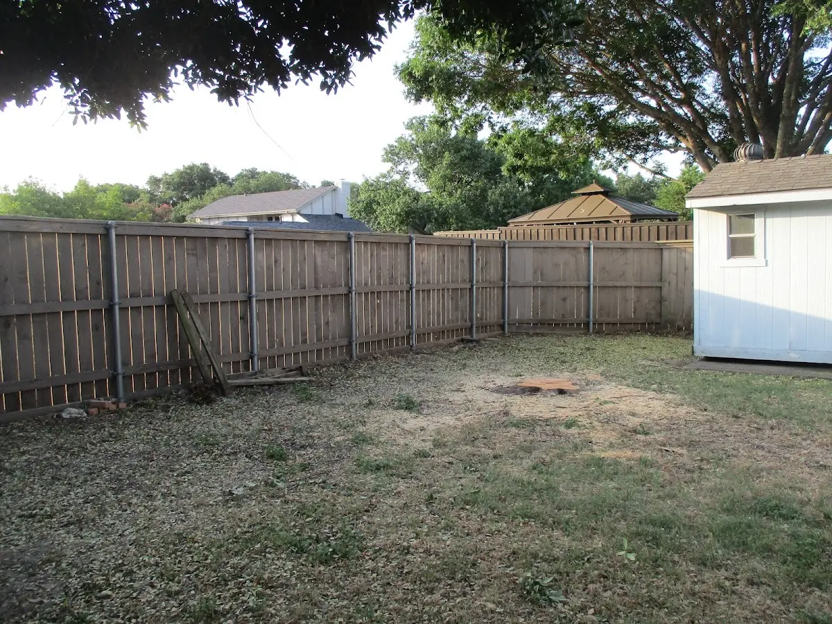 Cleared yard after professional tree removal in Nuremberg